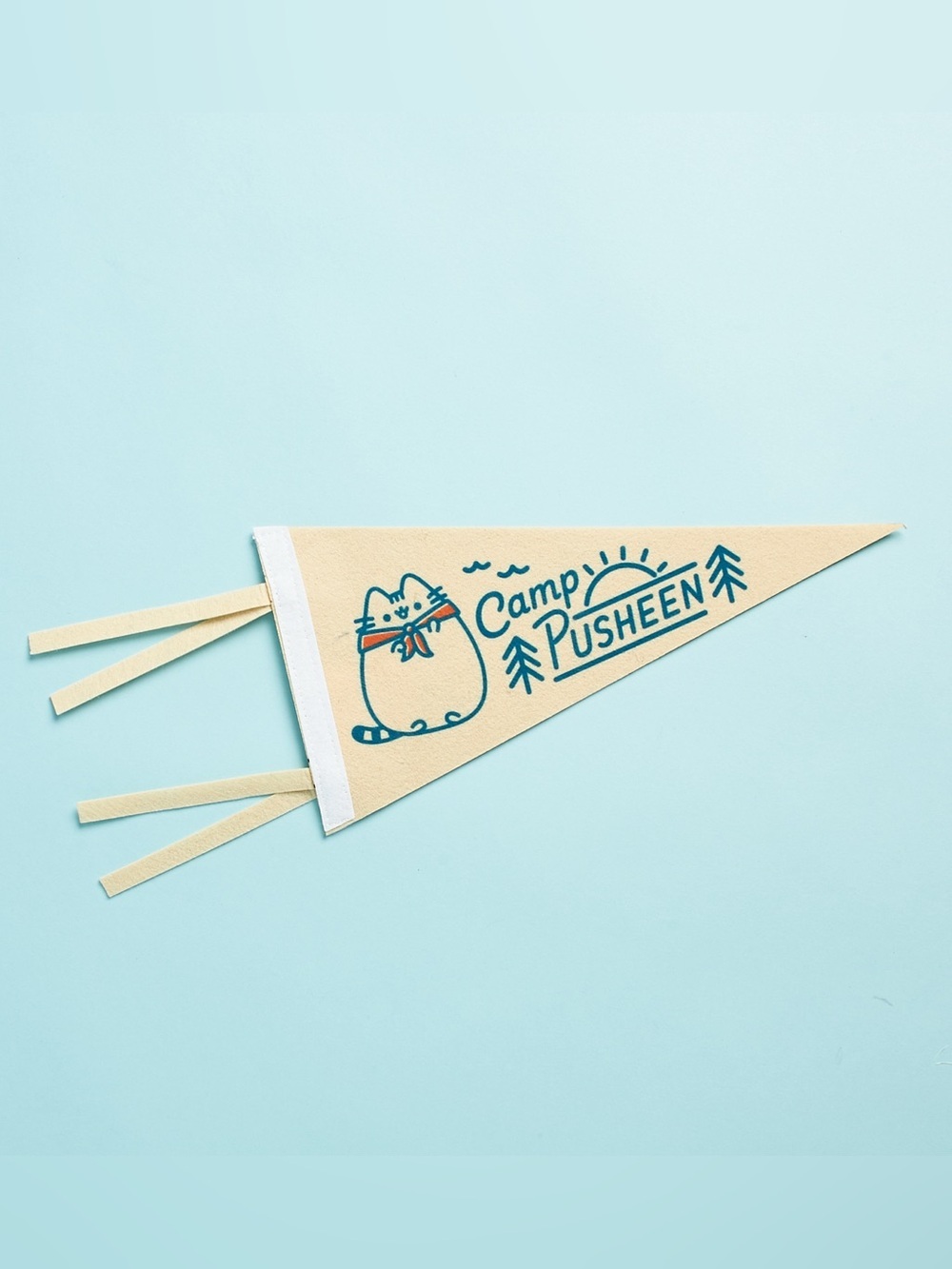 Pusheen Camp Triangle Pennant Banner Flag Summer 2020 Exclusive Culturefly Box